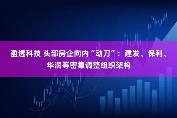 盈透科技 头部房企向内“动刀”：建发、保利、华润等密集调整组织架构